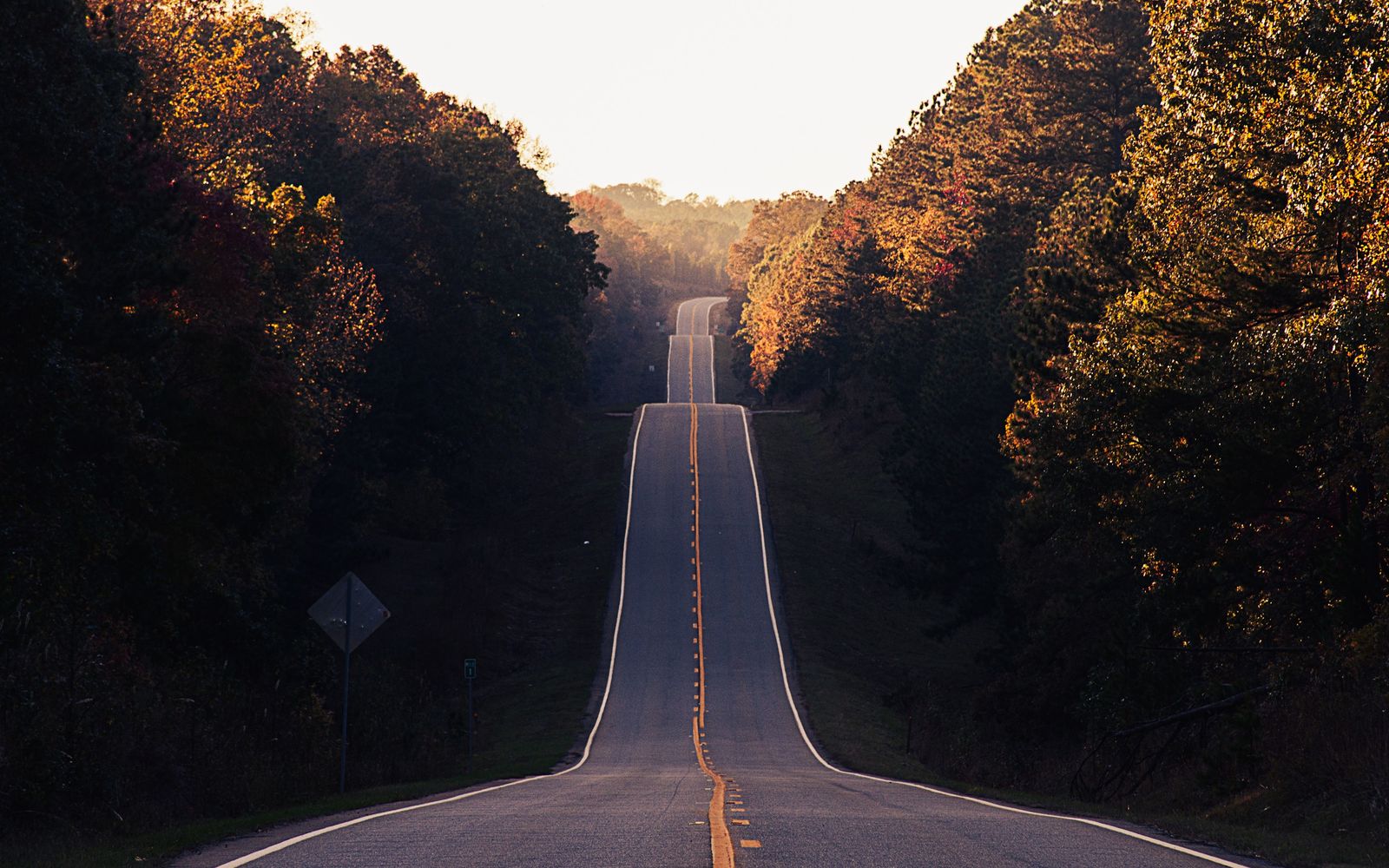 Long road in the middle of a forest